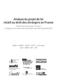 Analyse du projet de loi relatif au droit des étrangers en France